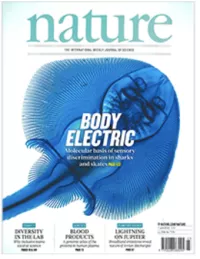 Publication