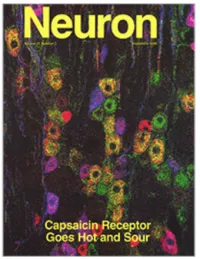 Publication