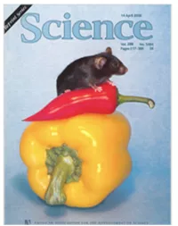 Publication